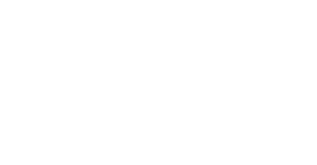 logo anim